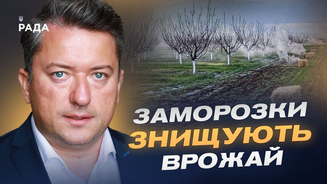 Заморозки ЗНИЩУЮТЬ врожай: що буде з цінами на фрукти та зерно?  | Дмитро Соломчук