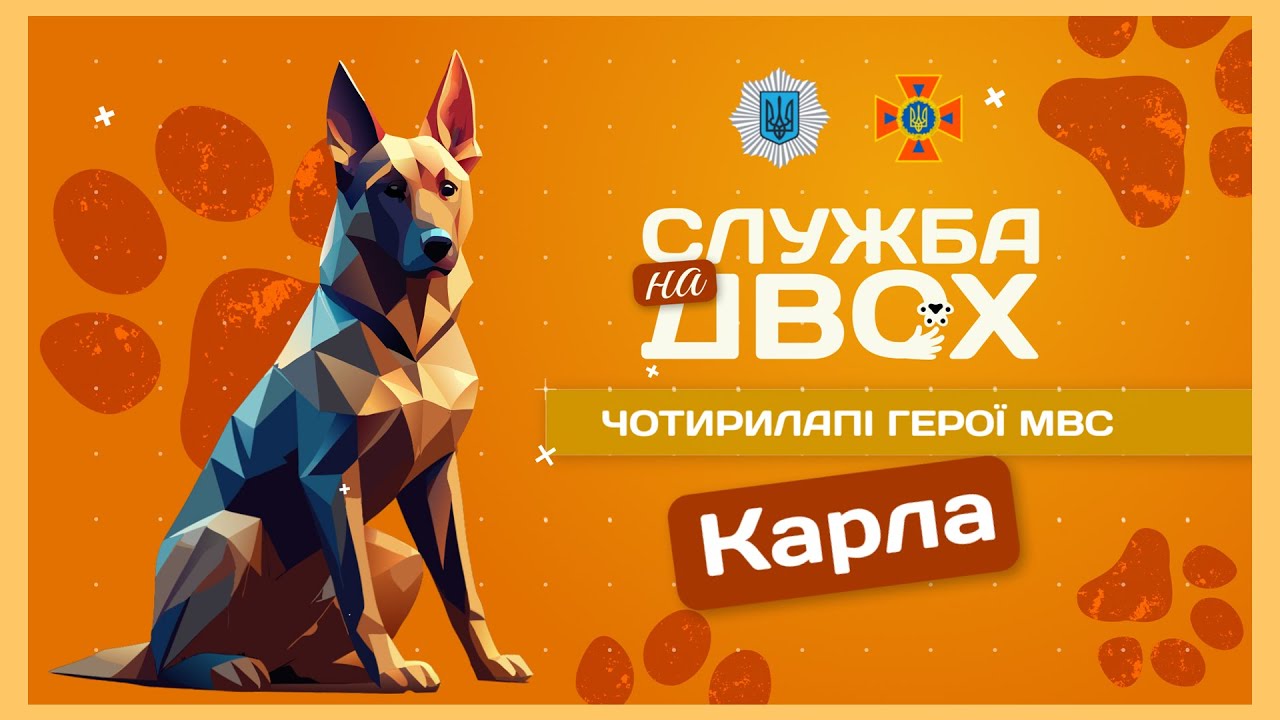 🐶 Карла – собака, що має ліричний характер і непросту місію | Служба на двох