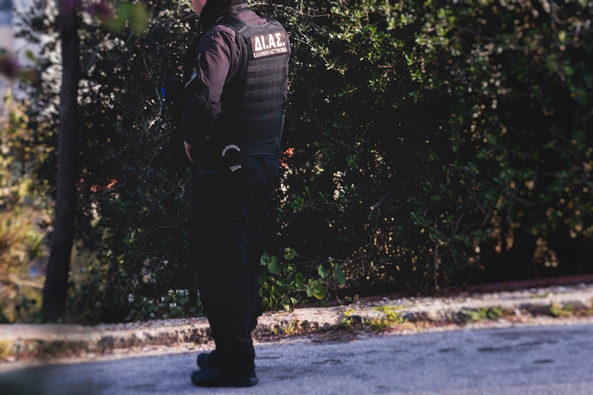 Фальшивий Пікассо і підробки Моне: у Греції викрили угруповання шахраїв