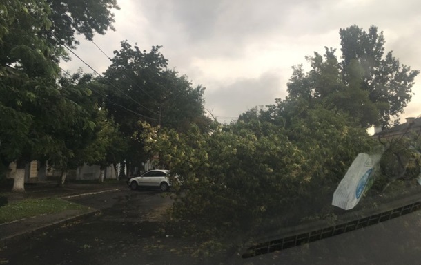 Новини України - На Прикарпатті через негоду впали дерева, без світла низка сіл