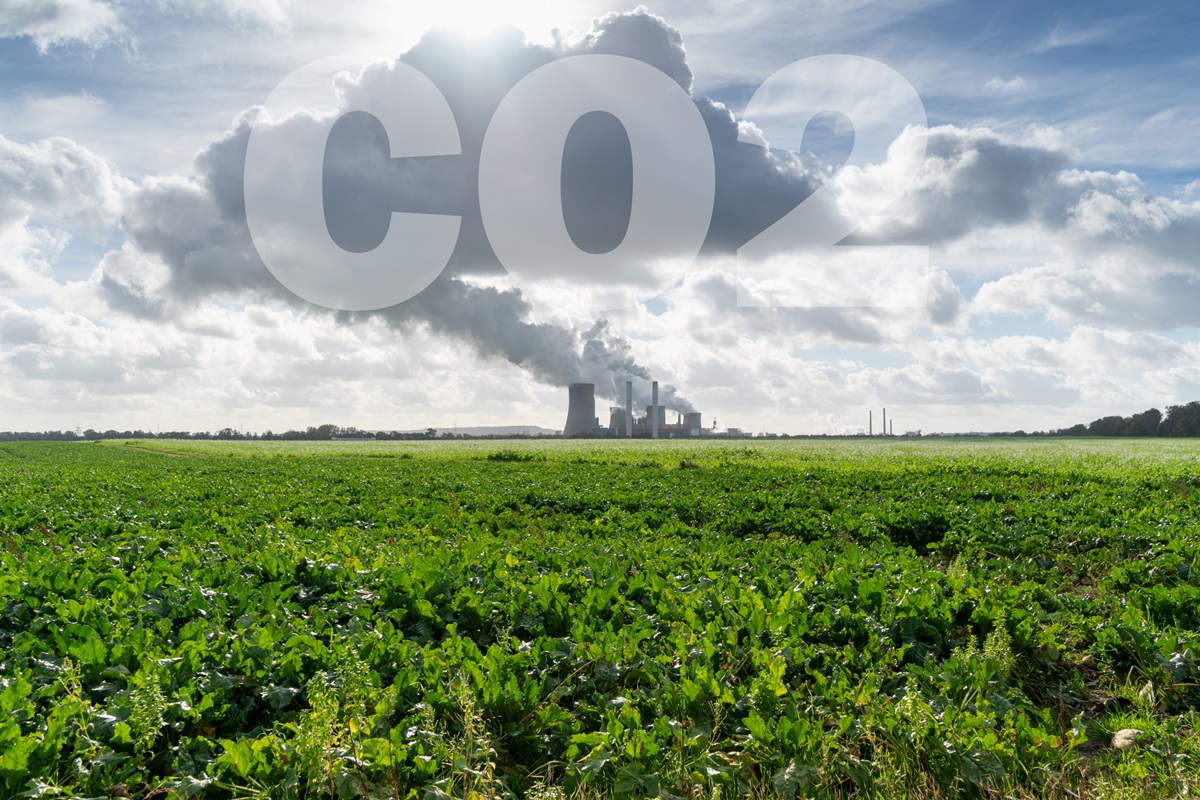 Світ встановив новий рекорд з енергетичних викидів CO₂ – звіт