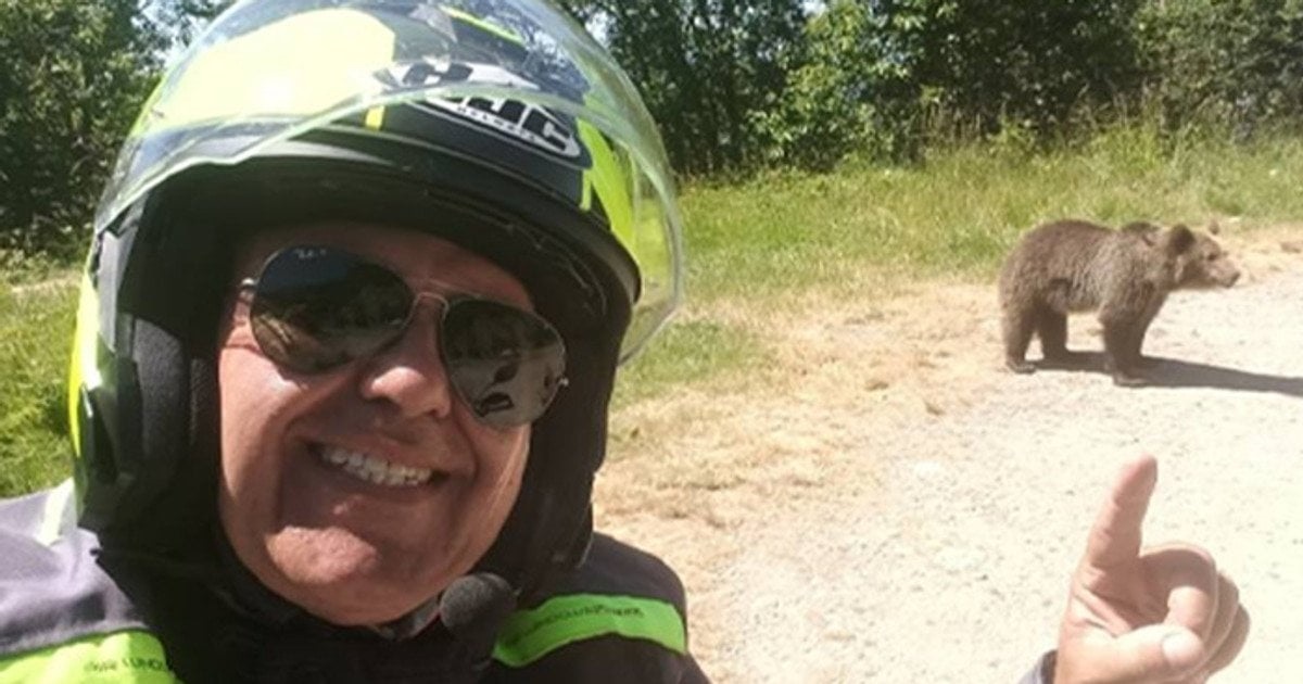 У Карпатах ведмідь загриз туриста-мотоцикліста