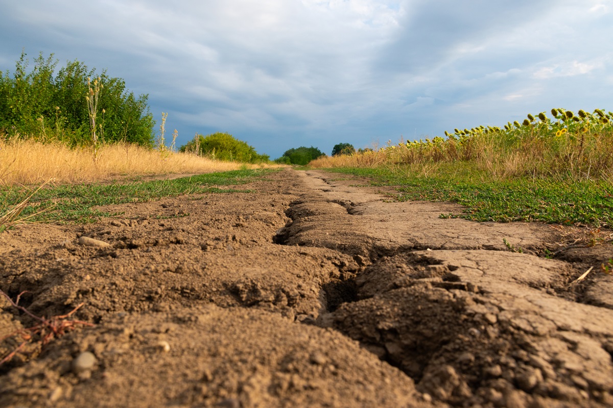 Засуха на Херсонщині досягла критичного рівня