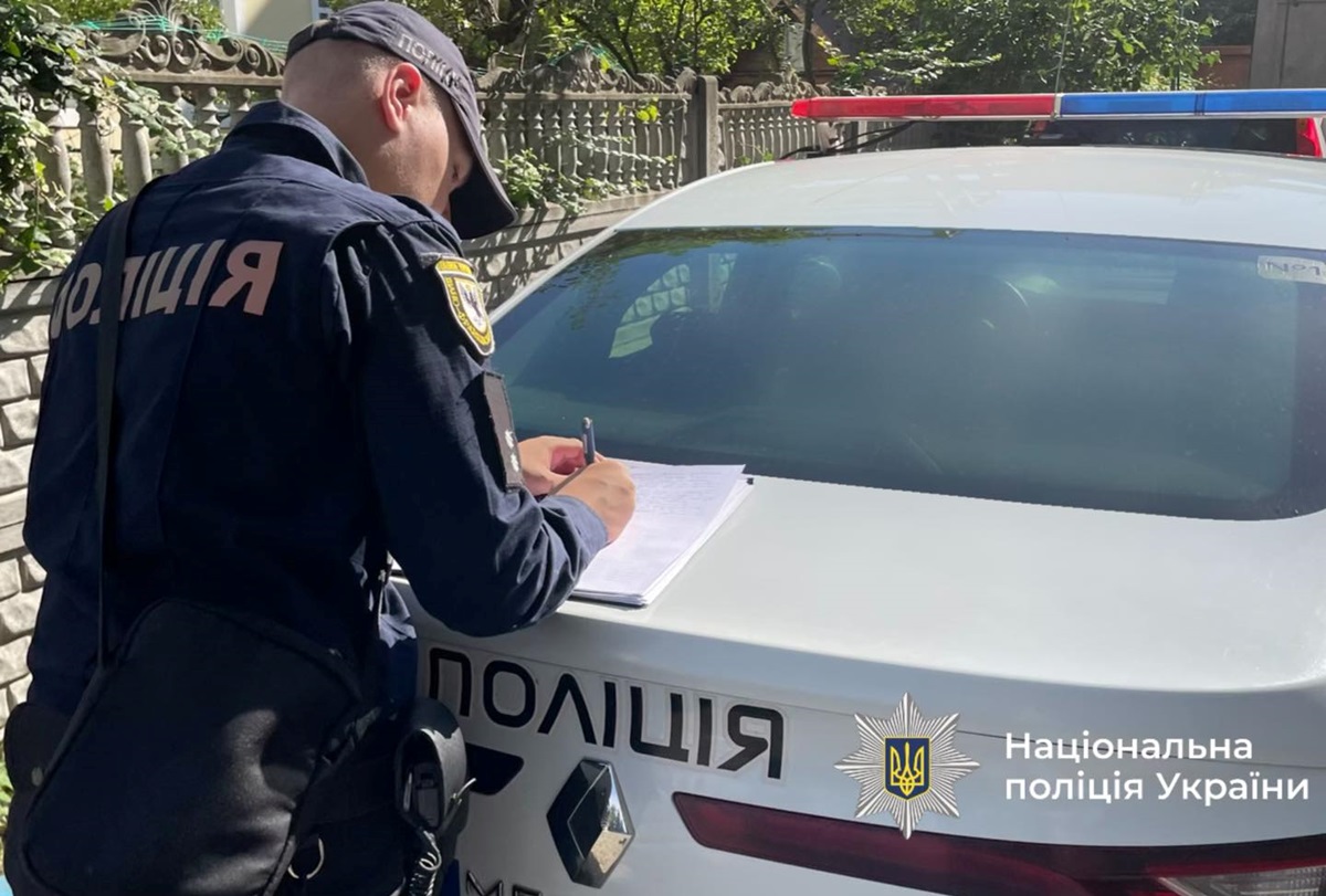 На Прикарпатті водій авто в’їхав в отару овець