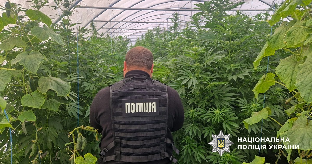 На Дніпропетровщині викрили наркоаграріїв