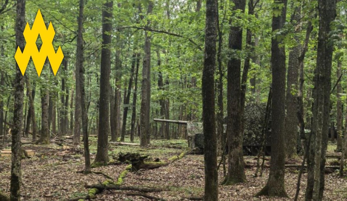 Партизани допомогли зірвати наступ РФ під Вовчанськом