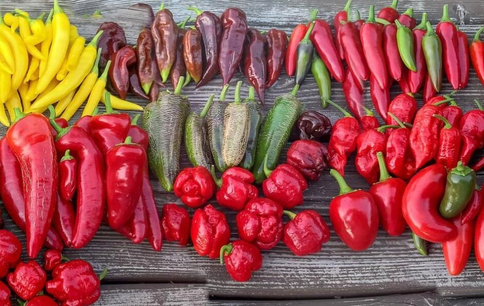 Чарівний світ перцю: історія, користь і найгостріші різновиди