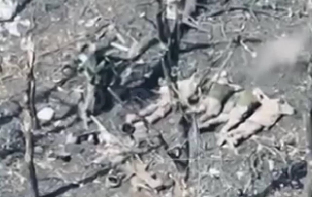 Росіяни розстріляли п&rsquo;ятьох полонених бійців ЗСУ