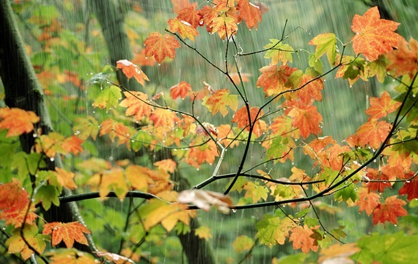Синоптики дали прогноз погоди на вихідні