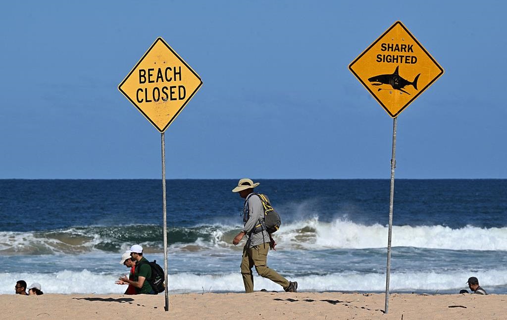 В Австралії акула напала на спортсменів, є жертви