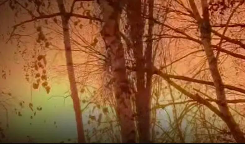 ЗСУ уразили російський НПЗ та склад дронів в Криму