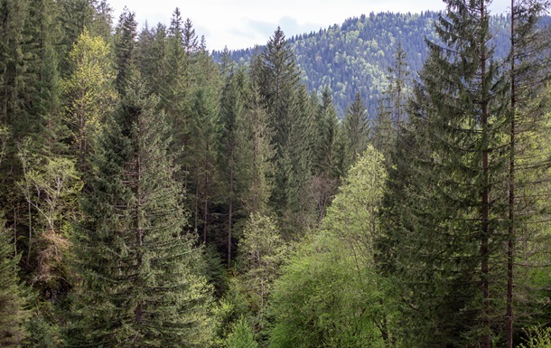 До суду скерували справу щодо незаконної передачі землі у Мигово