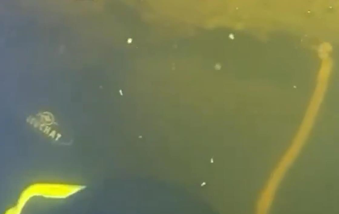 Водолази ДСНС провели підводну операцію при -15&deg;C