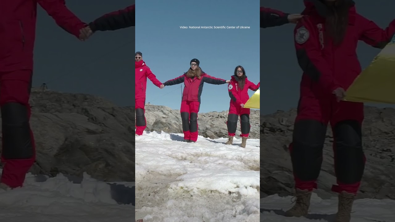 Chain of Unity on Antarctica
