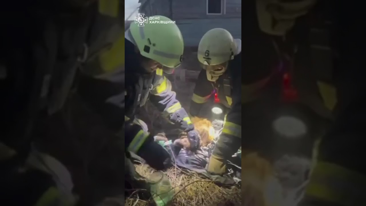 Кожне життя має значення: порятунок хвостиків під час пожежі у Харкові