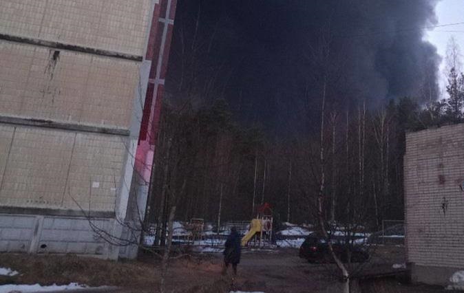 Ленобласть РФ атакували дрони: сталася пожежа