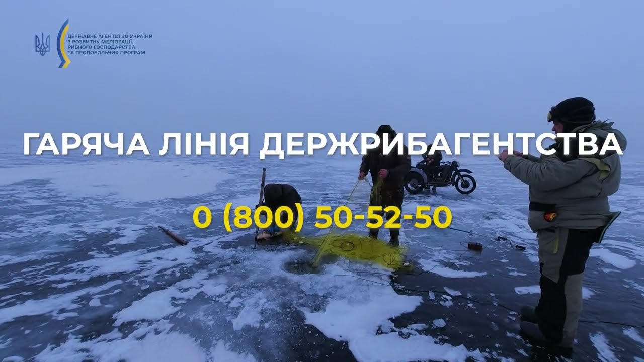 ❗️ Рибоохоронці Держрибагентства – на варті рибних багатств України