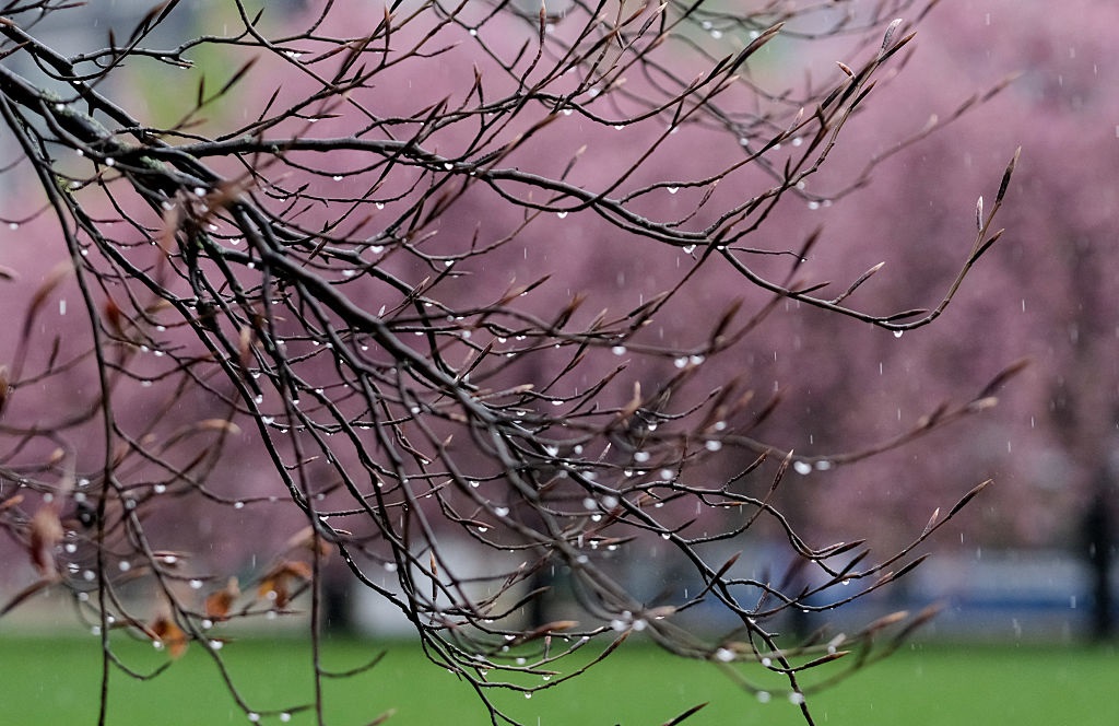 Дощі охоплять більшість регіонів України