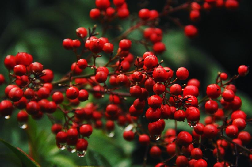 Свята 22 квітня 2026 року: іменини, традиції