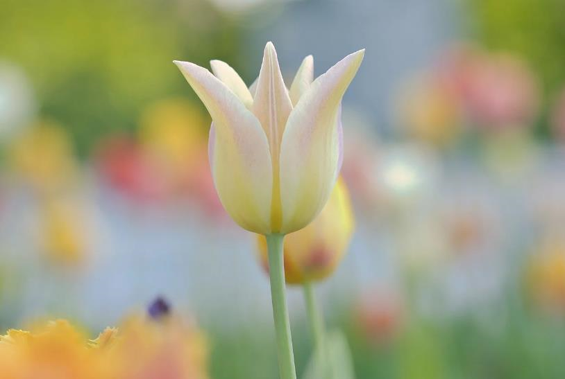 Свята 23 квітня 2026 року: що не можна робити в цей день