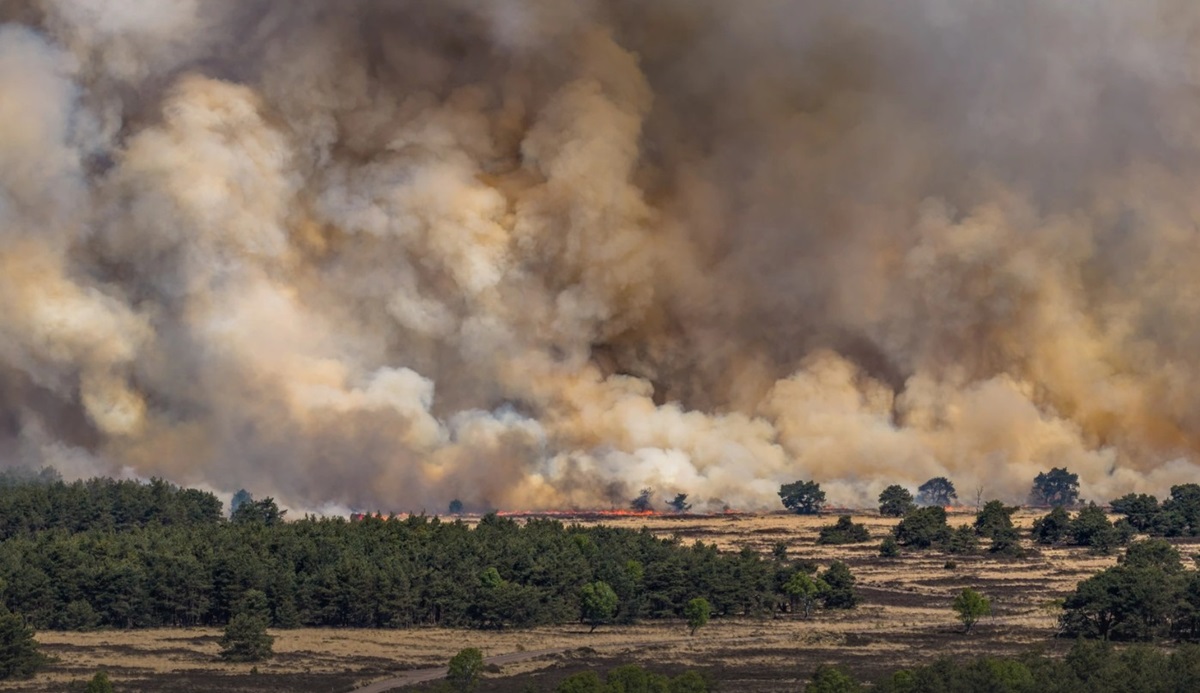 В Нідерландах розгорілася пожежа на військовому полігоні