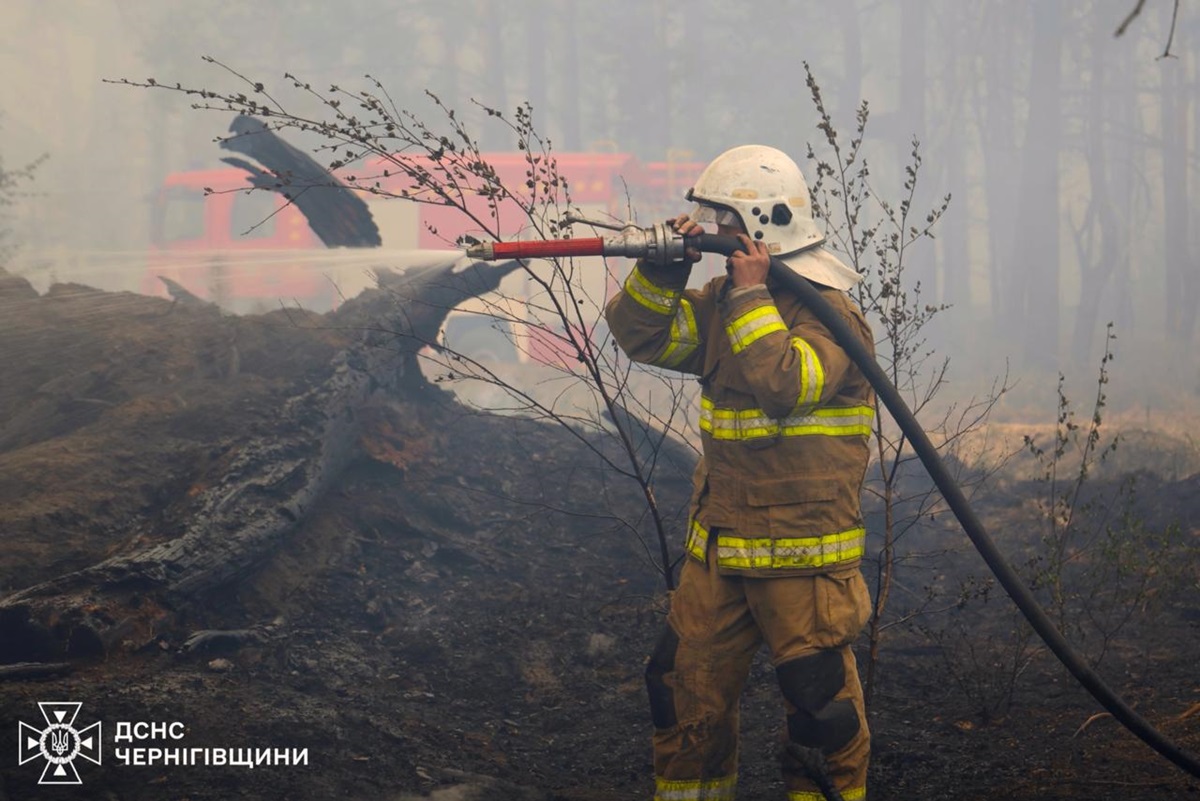 На Чернігівщині локалізували лісову пожежу