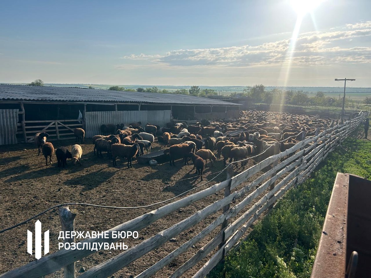 Викрито схему привласнення коштів в Держпродспоживслужбі