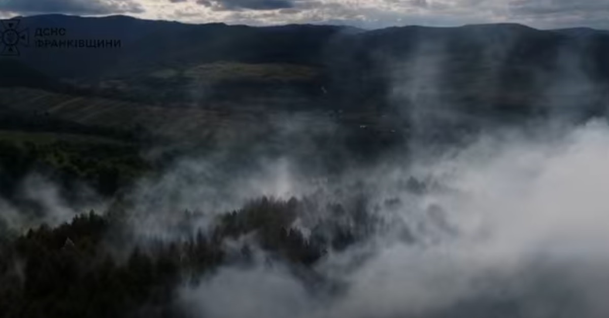 На Прикарпатті другий день не можуть загасити лісову пожежу