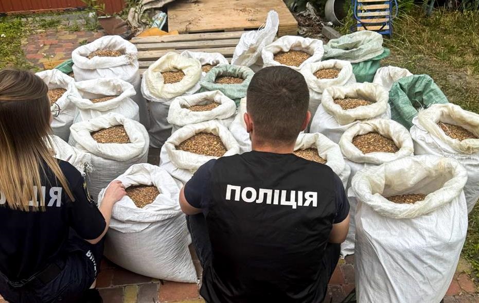На Рівненщині викрили підпільний цех: вилучили бурштину на мільйони