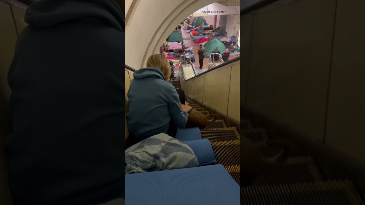 A dog with a girl sheltering from Russia’s overnight attack in Kyiv’s metro